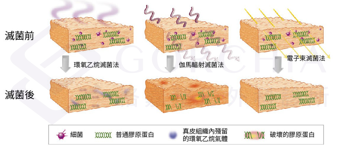 異體真皮,異體真皮法令紋,異體真皮是什麼